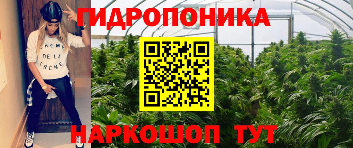 Шишки марихуана Amnesia  Канабис семена  Вход с VPN  Саяногорск 